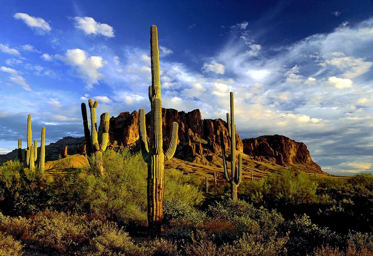 10 Things About Arizona Summers