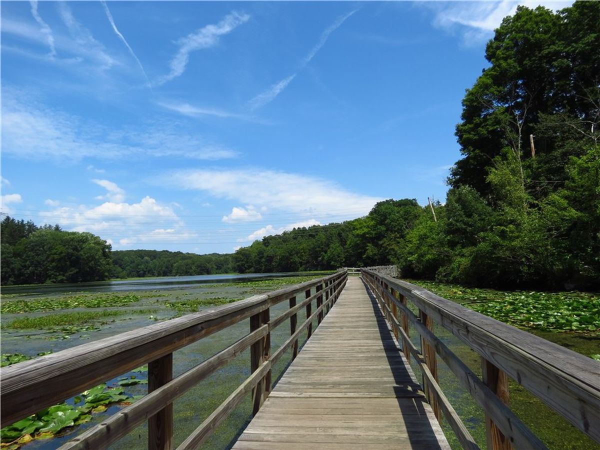 10 Outdoor Activities In Westchester County