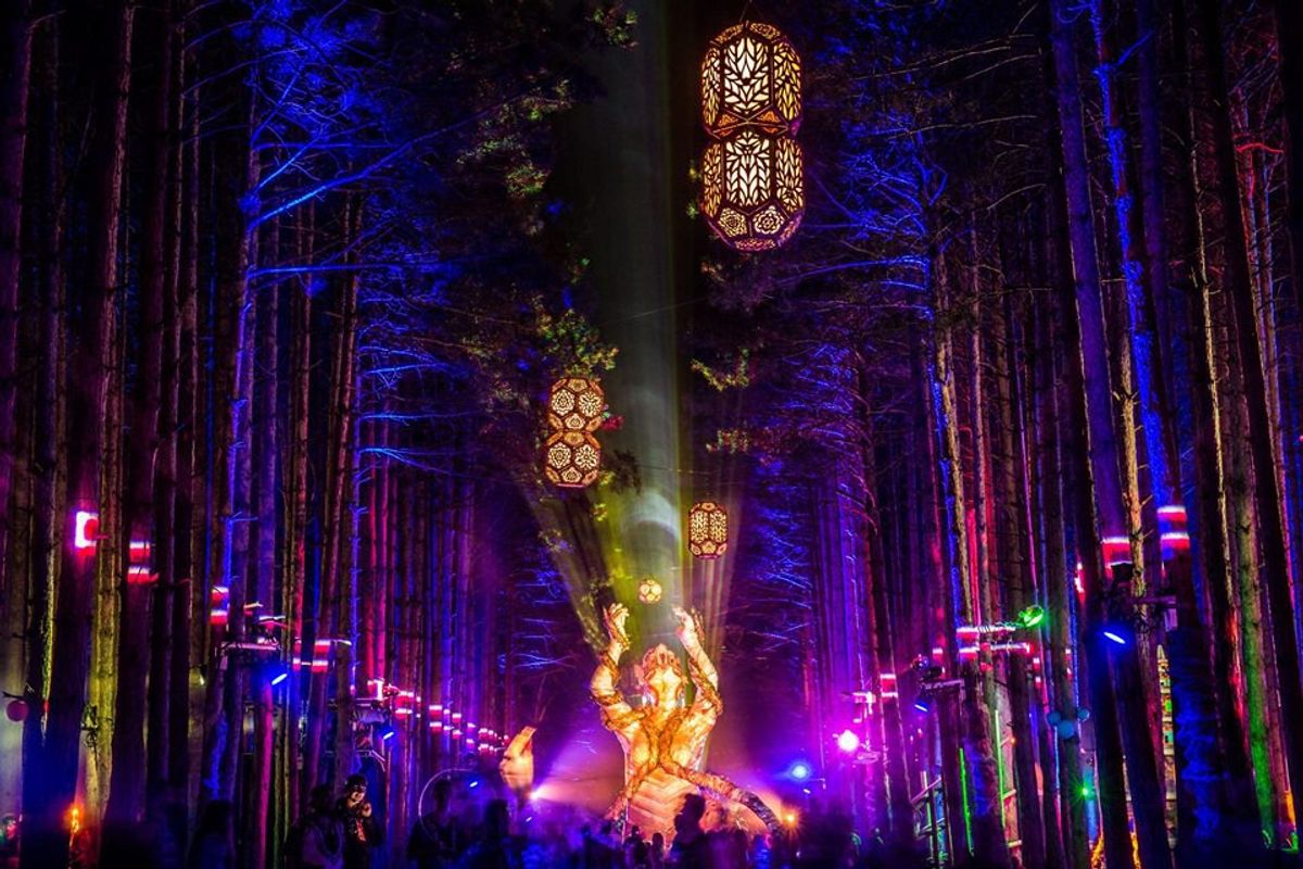 We Are Home At Electric Forest