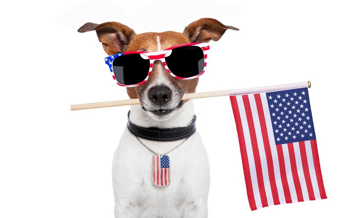 25 Reasons The Fourth Of July Is Better Than Christmas