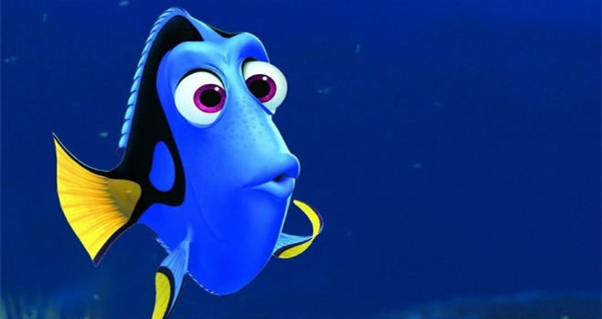 College Student Or Dory?