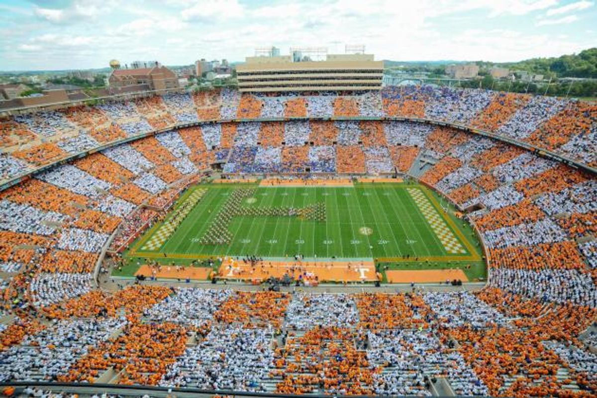 11 Reasons Vol Nation Is The Best