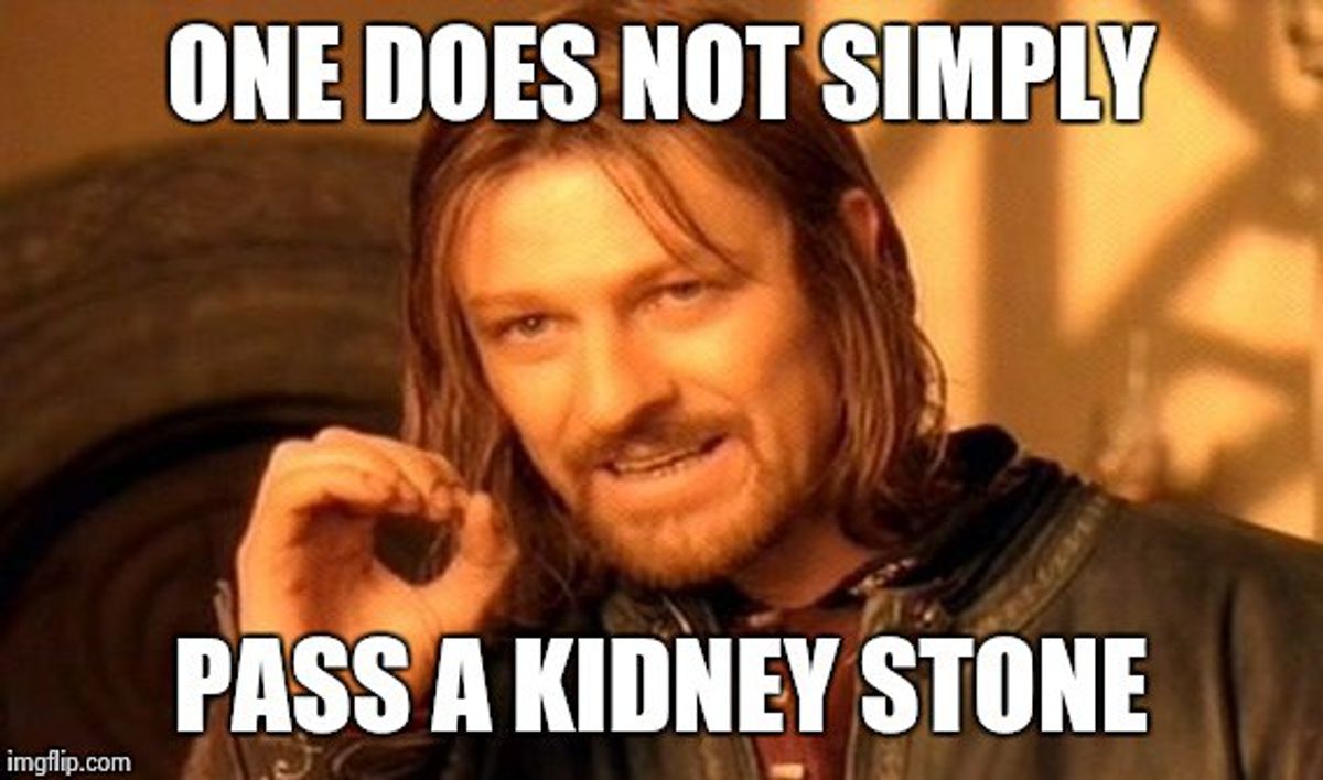 What Is Means To Have Chronic Kidney Stones