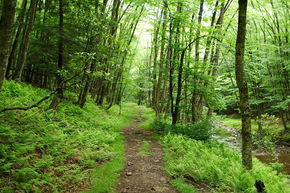 5 Best Places To Hike In Central New York