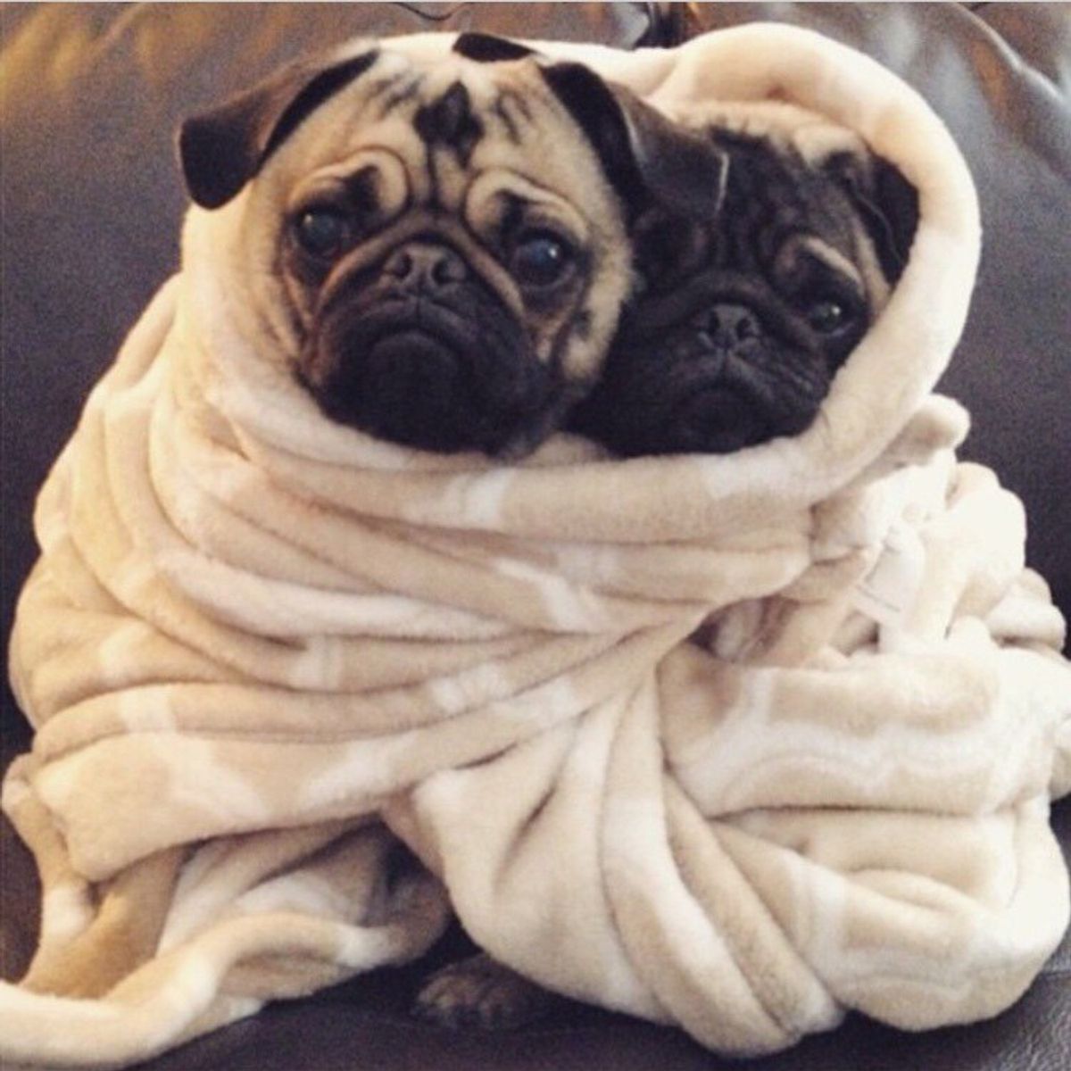 19 Struggles For People Who Are Always Cold