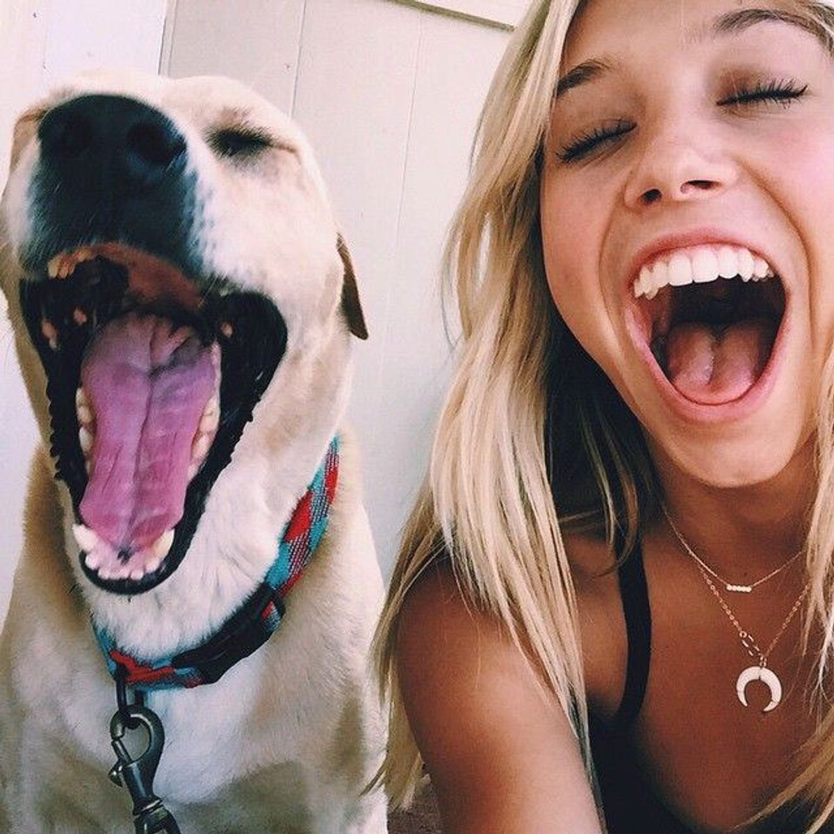 9 Reasons You Should Date A Dog Person