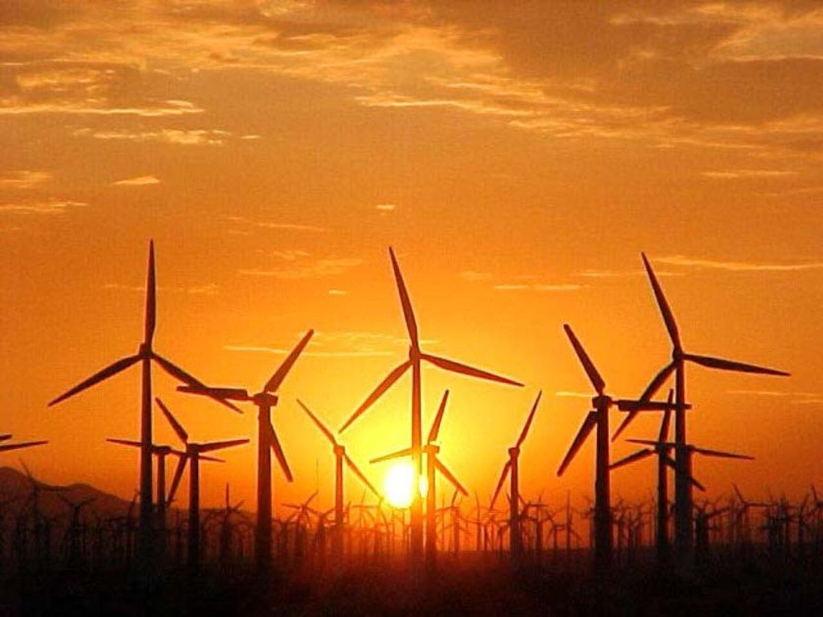 The Wind Farm Delimma