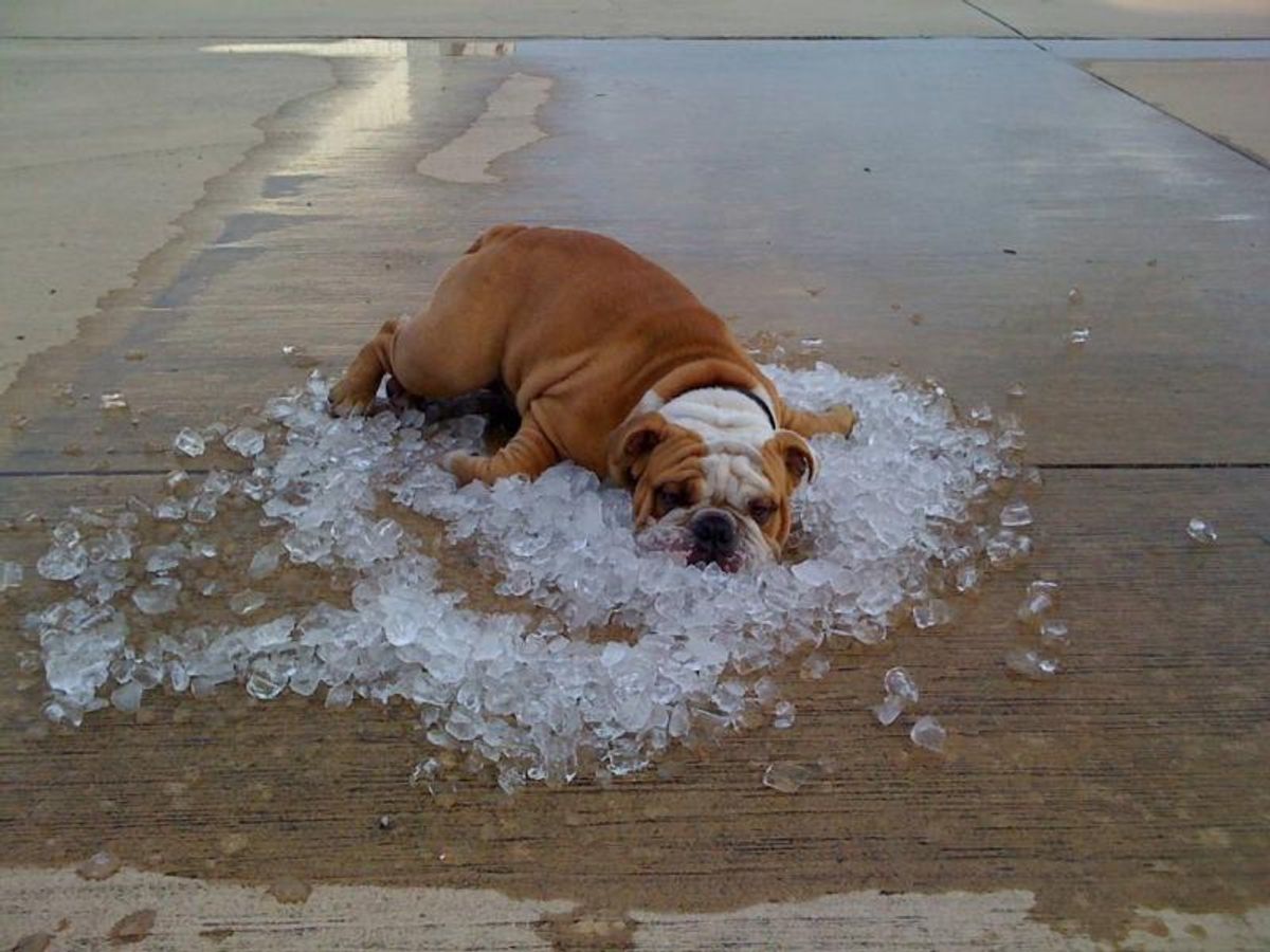Beat The Heat: 12 Tricks To Stay Cool