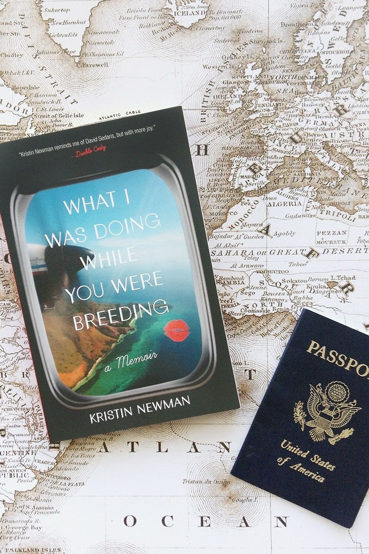 11 Reasons To Read "What I Was Doing While You Were Breeding"