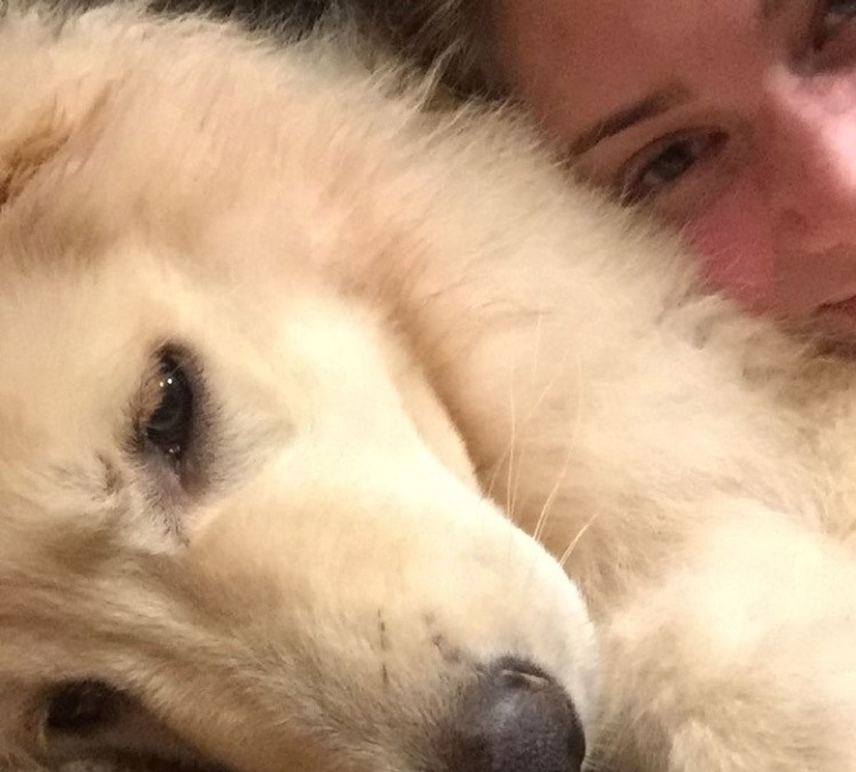 10 Things Everyone Who Is Obsessed With Their Dog Knows