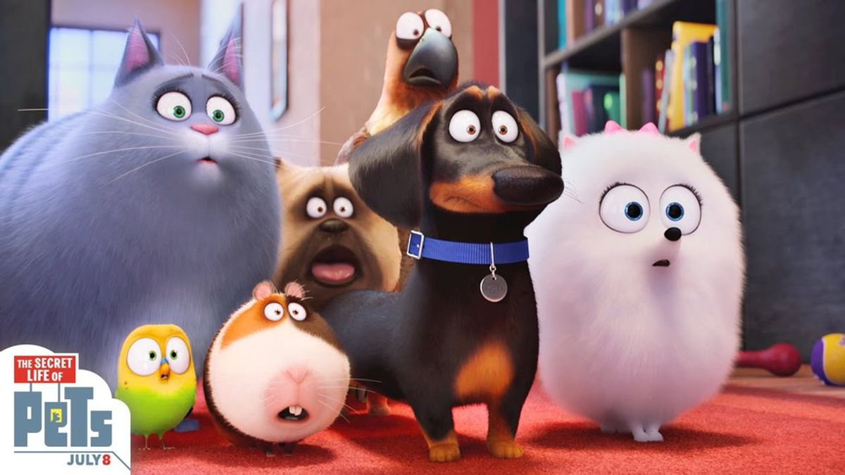 Why I Really Started Tearing Up When I Saw 'The Secret Life of Pets'