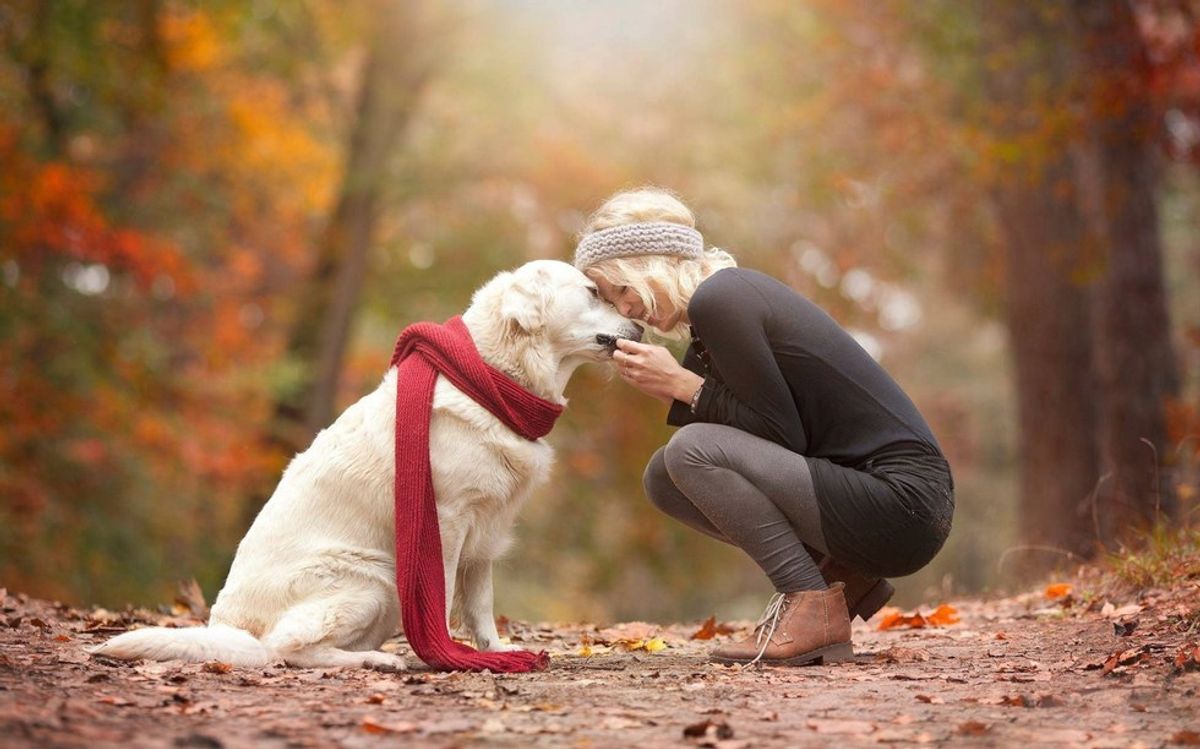 12 Things All Dog Lovers Understand