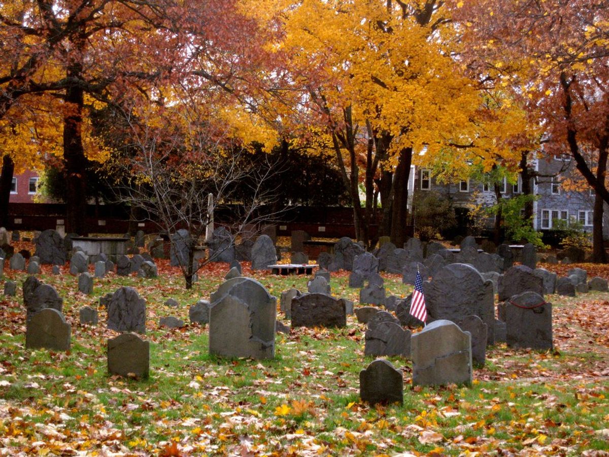 Pokémon In A Graveyard