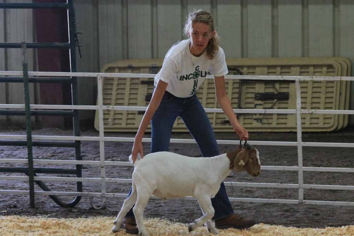 10 Things 4-H Actually Taught Me
