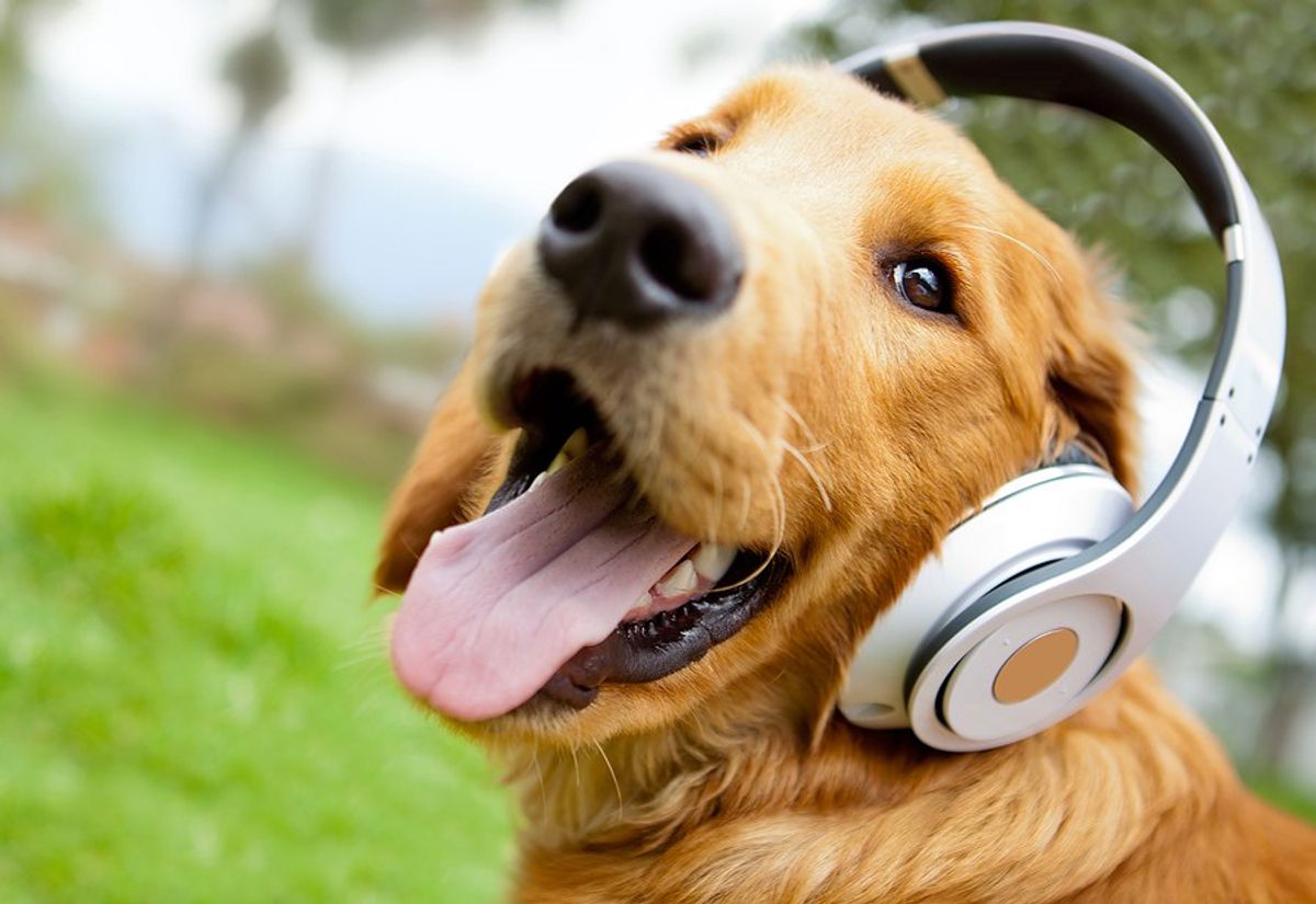 10 Songs You Probably Forgot About That Will Make You Happy