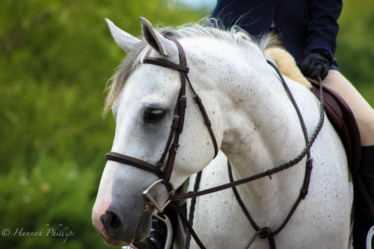 20 Life Lessons You Learn From Riding Horses