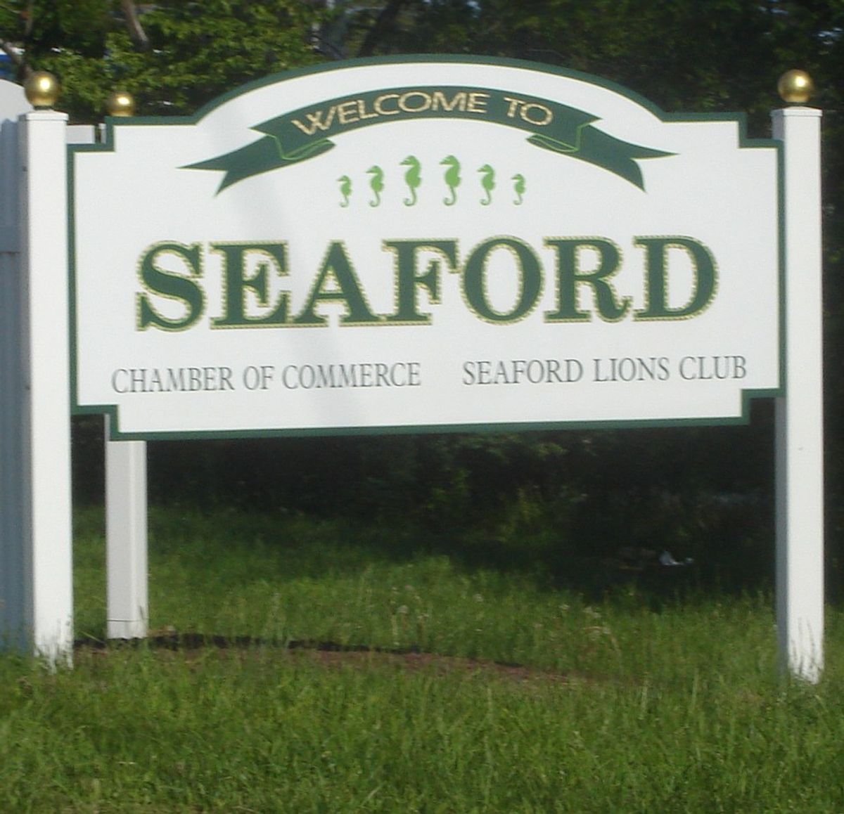 25 Ways You Know You Grew Up In Seaford, N.Y.