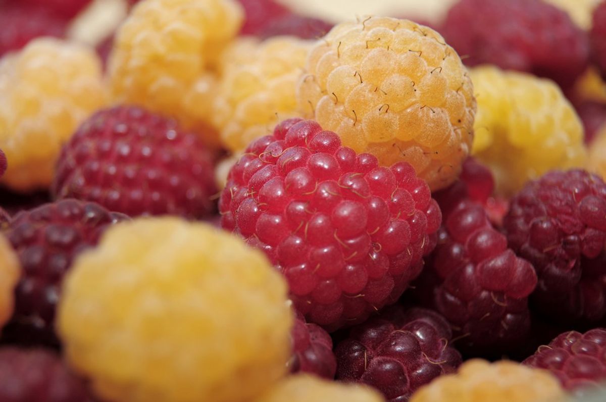 7 Reasons Raspberries Rock