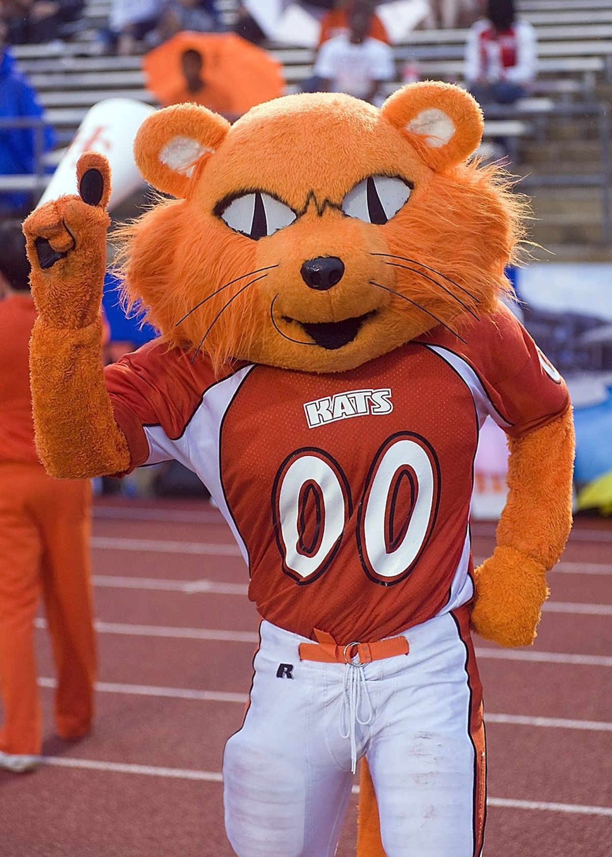 12 Things New Bearkats Need To Know