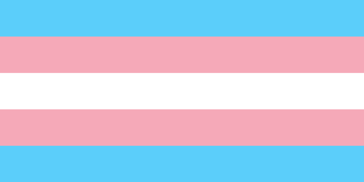 To The Trans Community