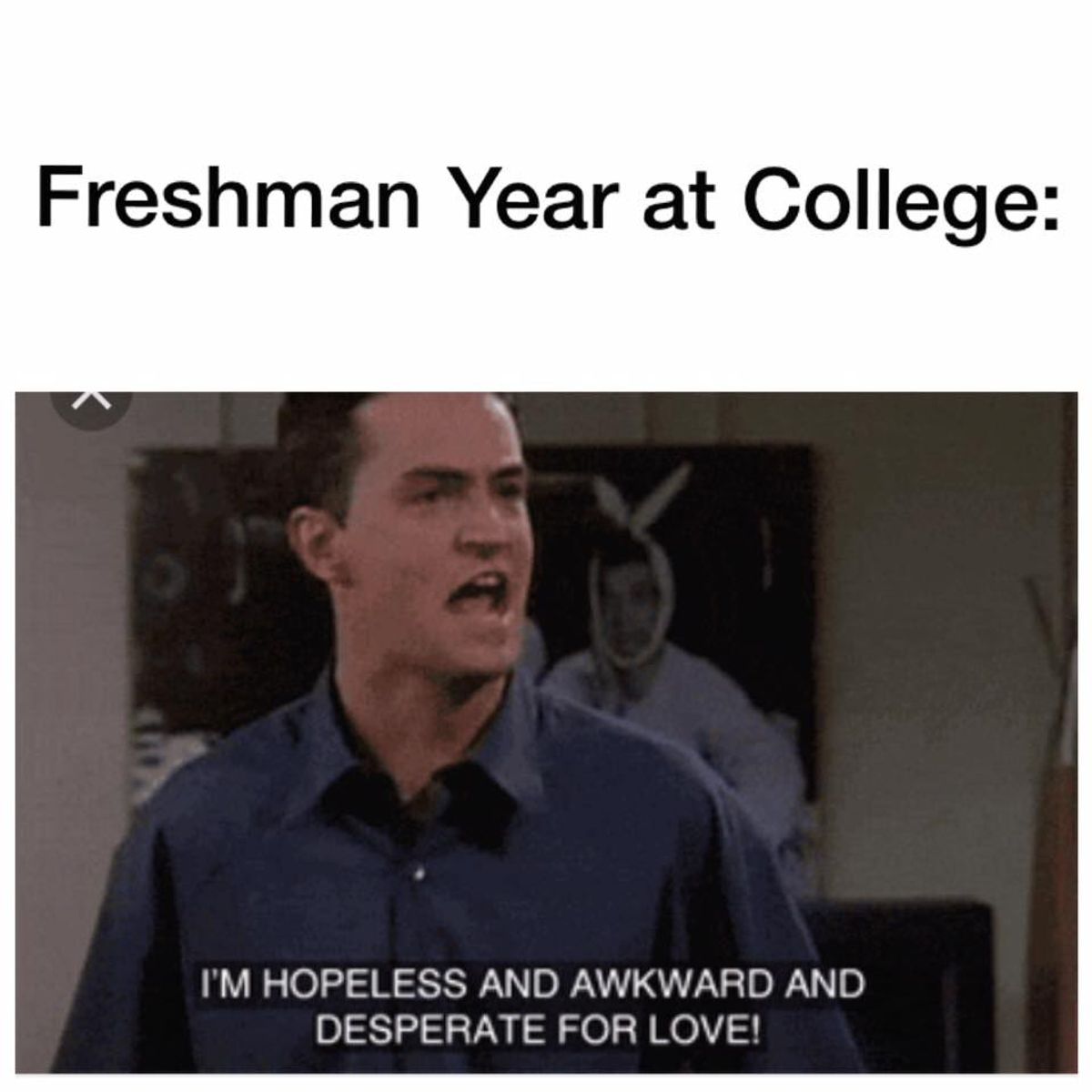 15 Things You Shouldn't Regret About Your Freshman Year Of College