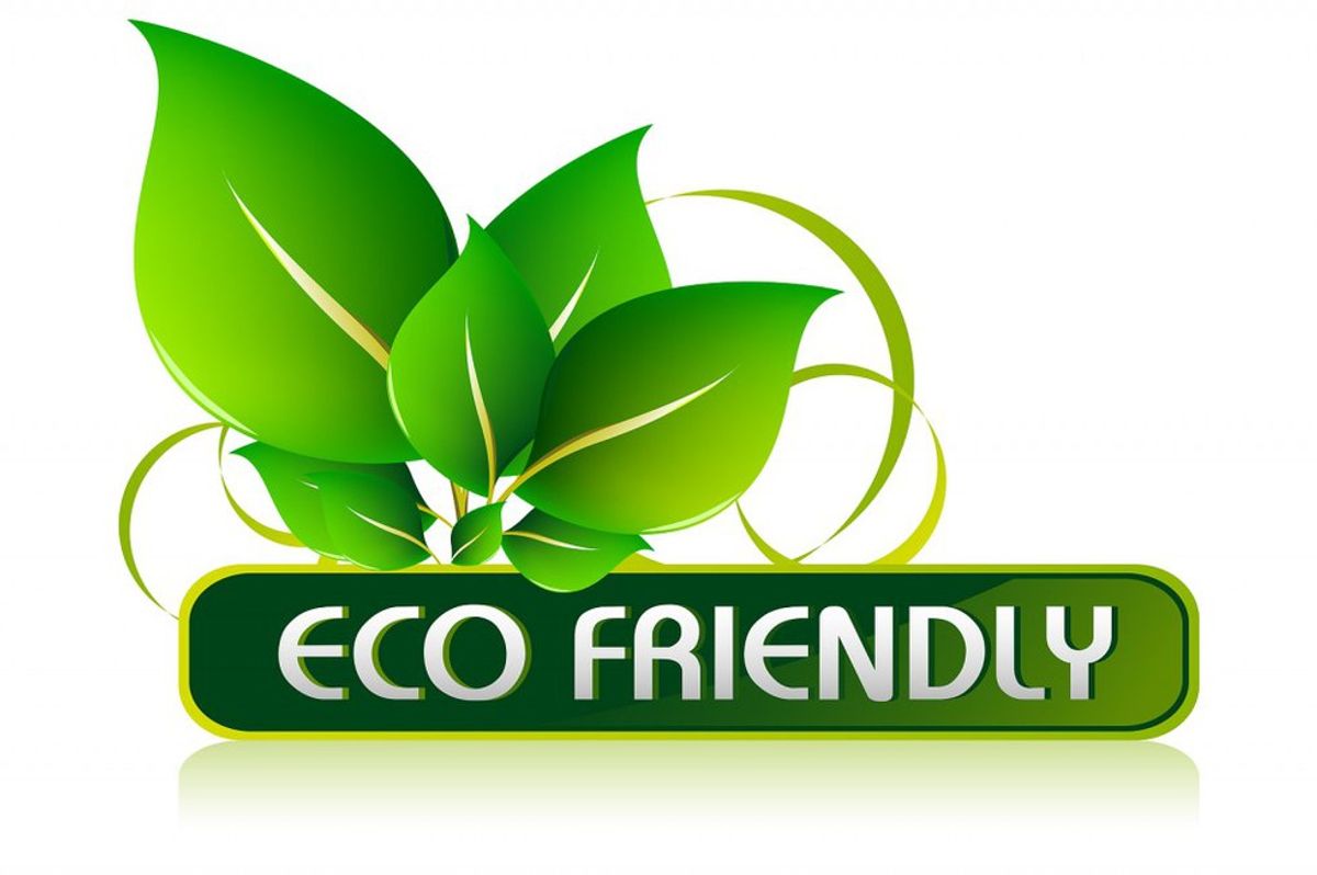 4 Eco-Friendly Tips For Your Home