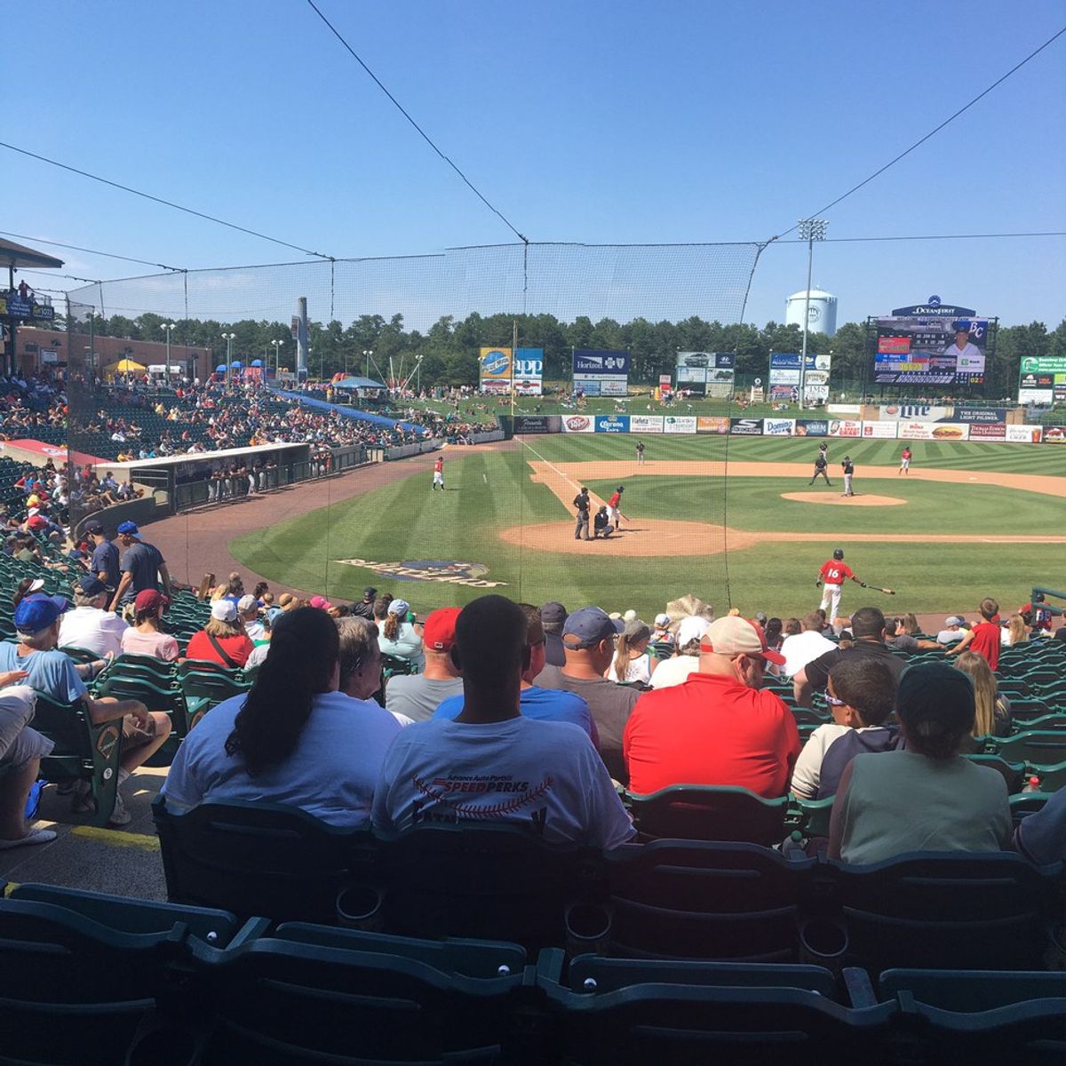 Lakewood BlueClaws: A Fun Night Out For Any Baseball Fan