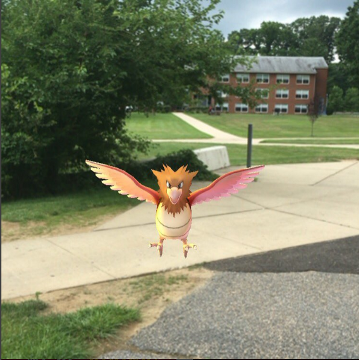 Pokémon Go Takes Over Rider University's Campus