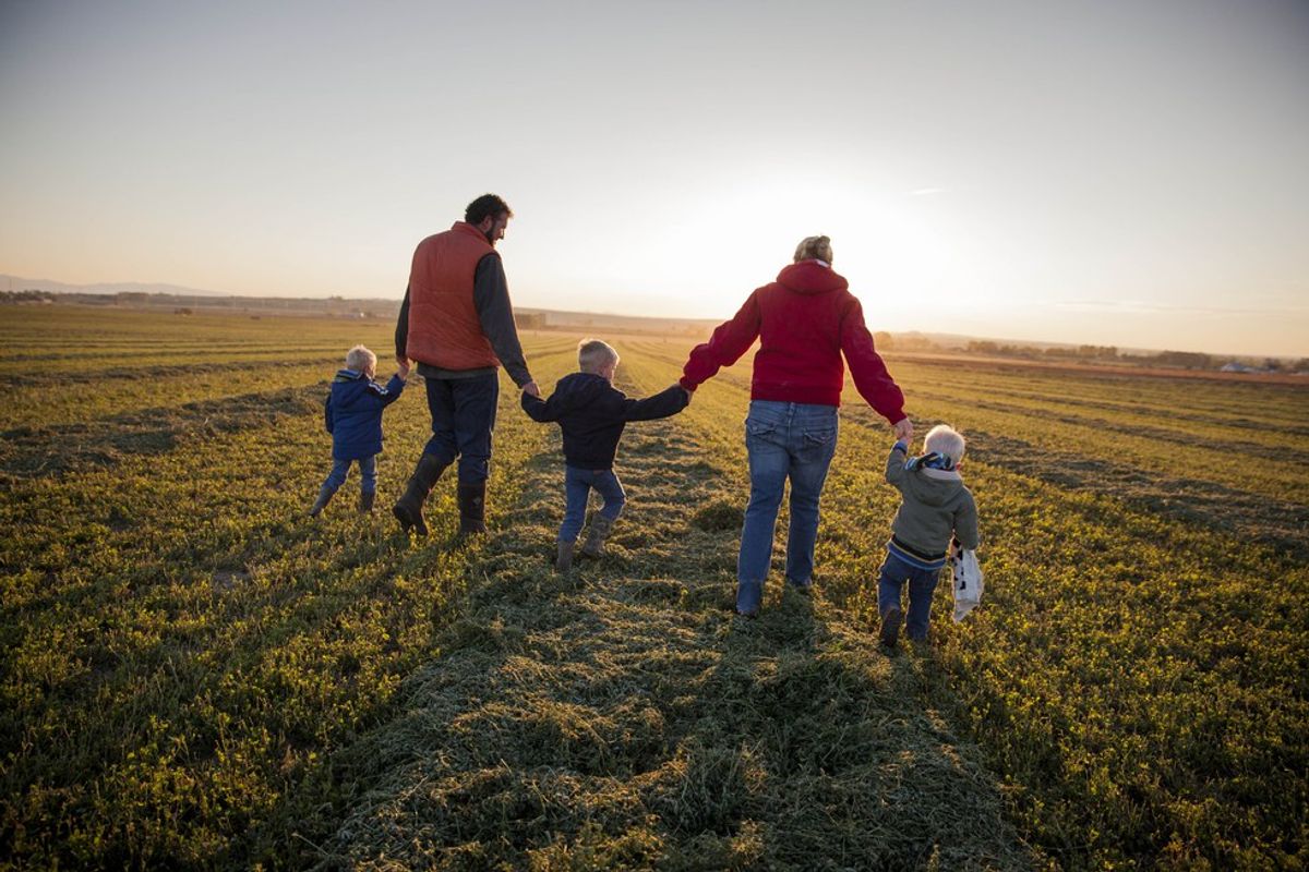 10 Benefits Of Growing Up On A Family Farm