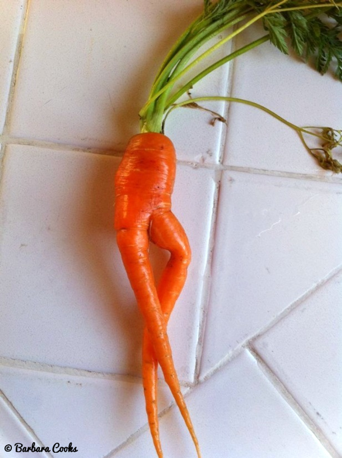 5 Carrots With Charming Backstories