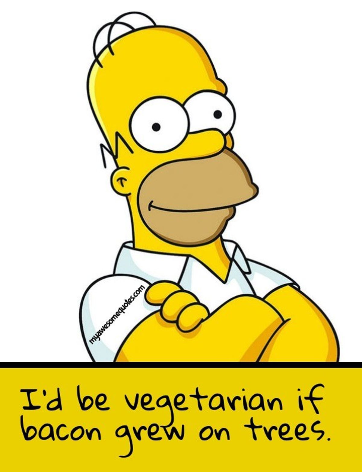 Things All Vegetarians Hear