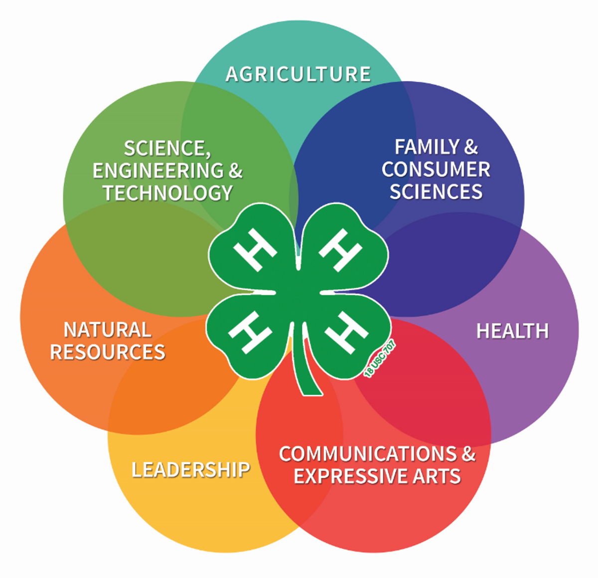 What You Need To Know About 4-H