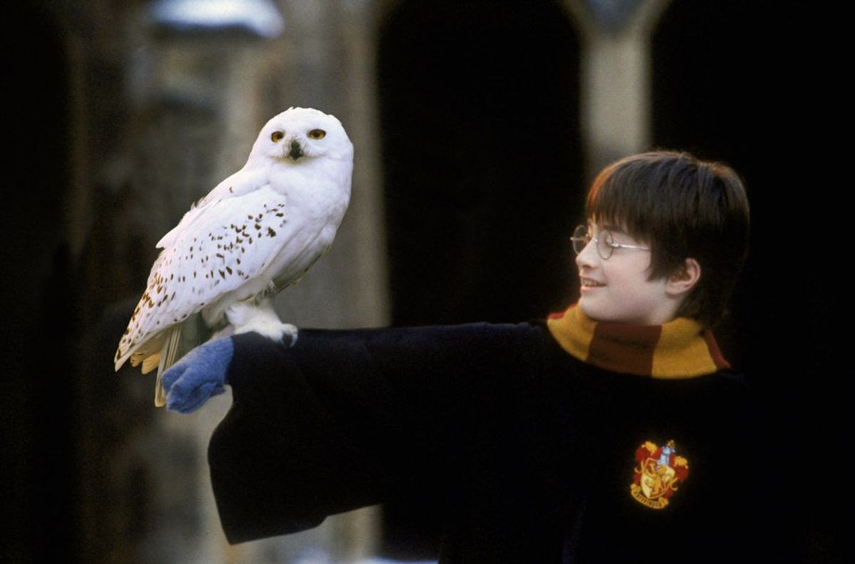 5 Things To Thank Harry Potter For