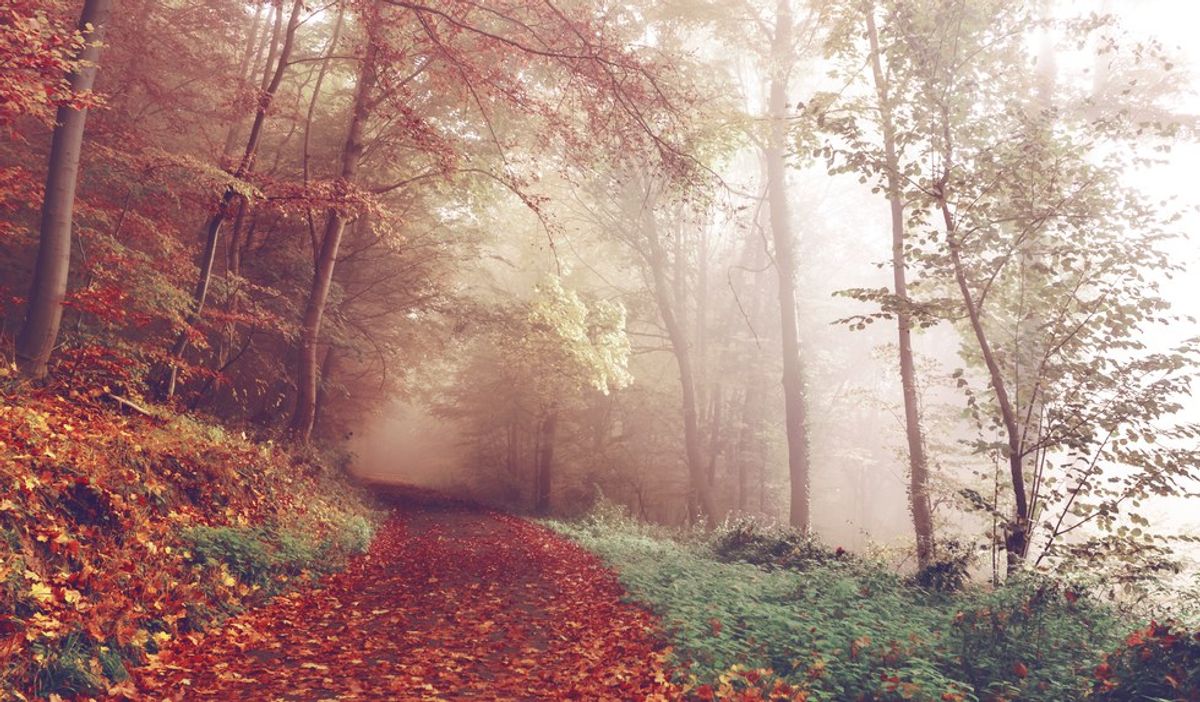 15 Reasons To Look Forward To The Fall
