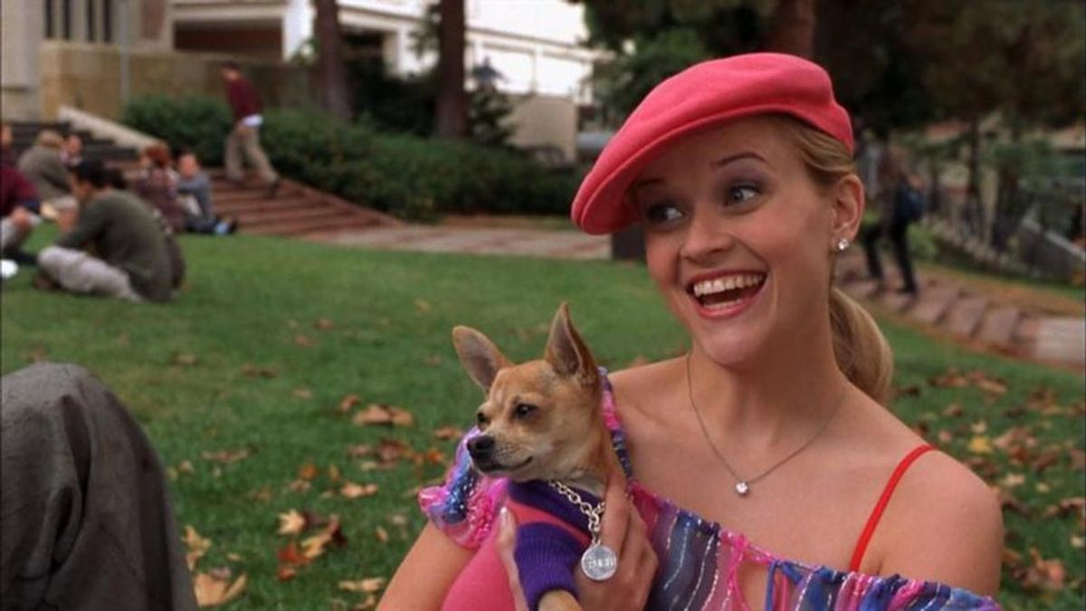 What Every Girl Can Learn From Elle Woods
