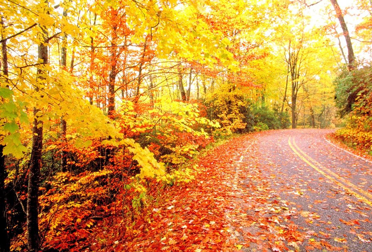 7 Signs You Are Ready For Fall