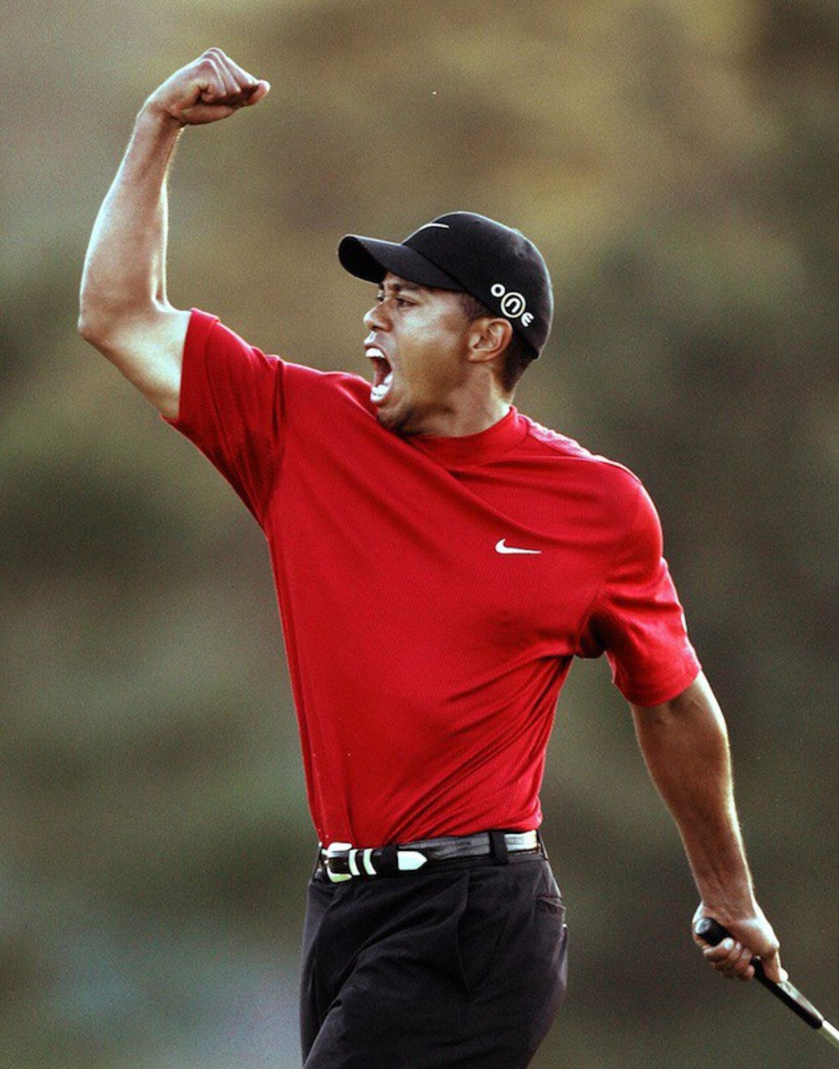 What We Didn't Get From Tiger Woods