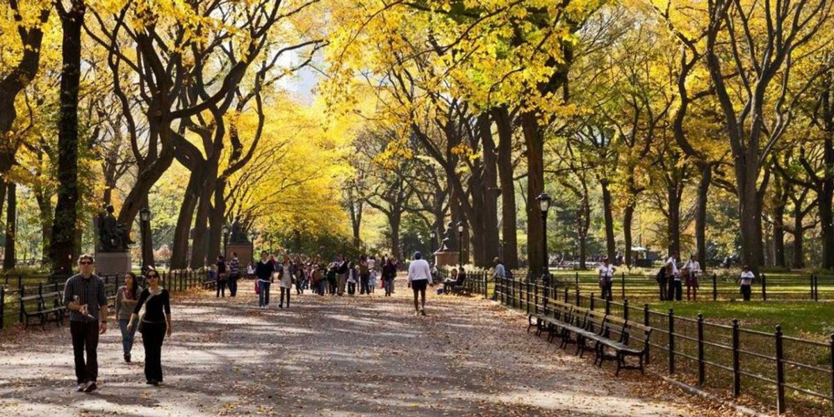 7 Reasons Why Autumn Is The Greatest Season