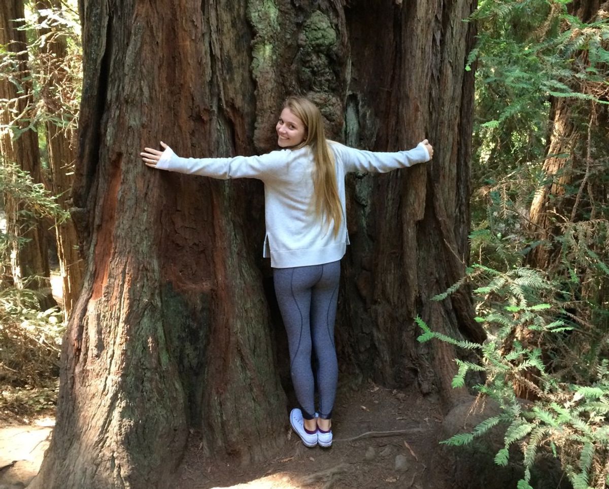 Are YOU A Tree Hugger?