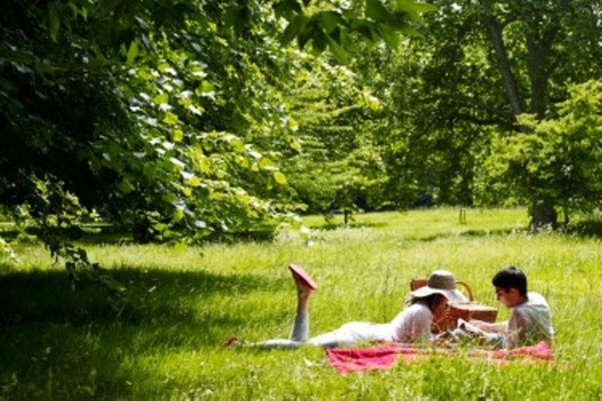 Why The World Needs More Picnics