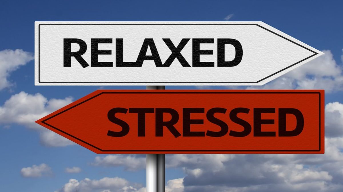 Stressing Over Stress Itself Isn’t Worth The Stress…