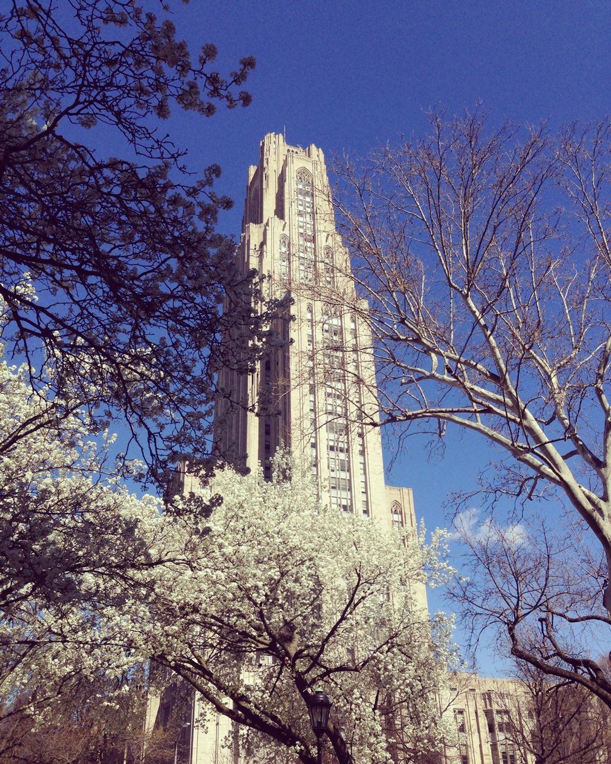 18 Things Every Pitt Student Wants This Year