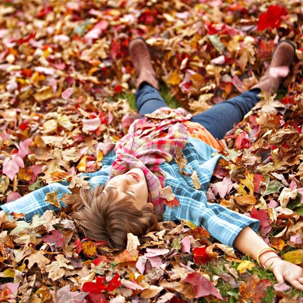 10 Reasons Why Everyone Loves The Fall