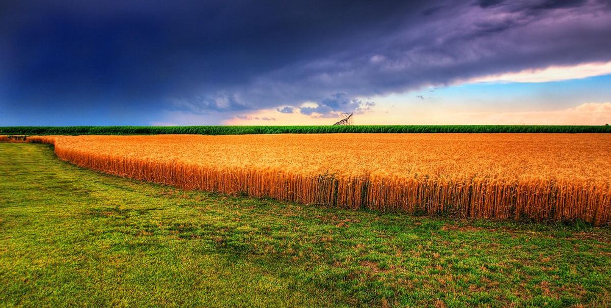 11 Reasons You Know You're From Kansas