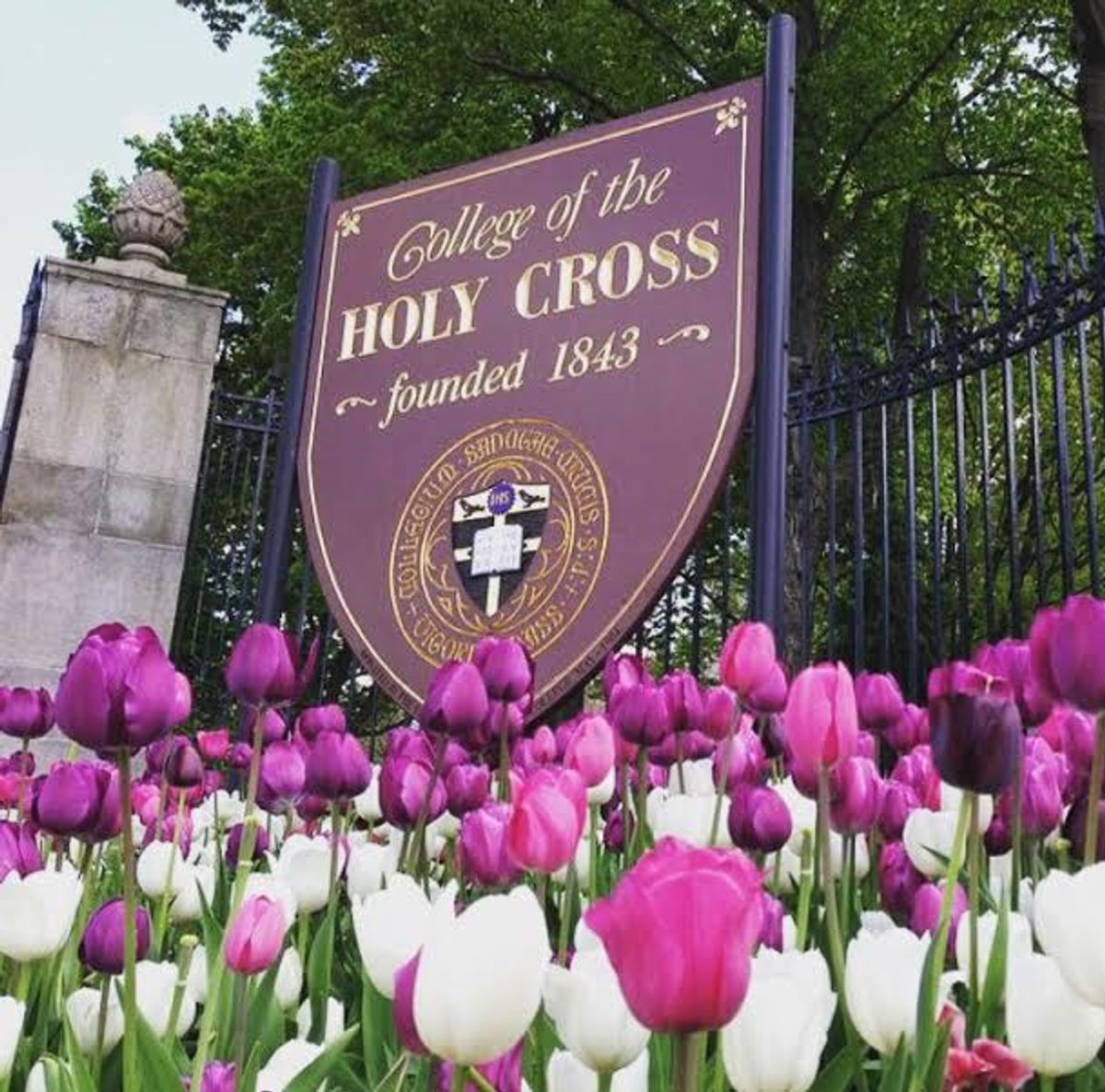 10 Things To 'Hate' About Holy Cross