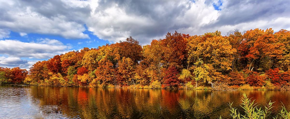 11 Reasons Why You Should Fall Madly In Love With Fall