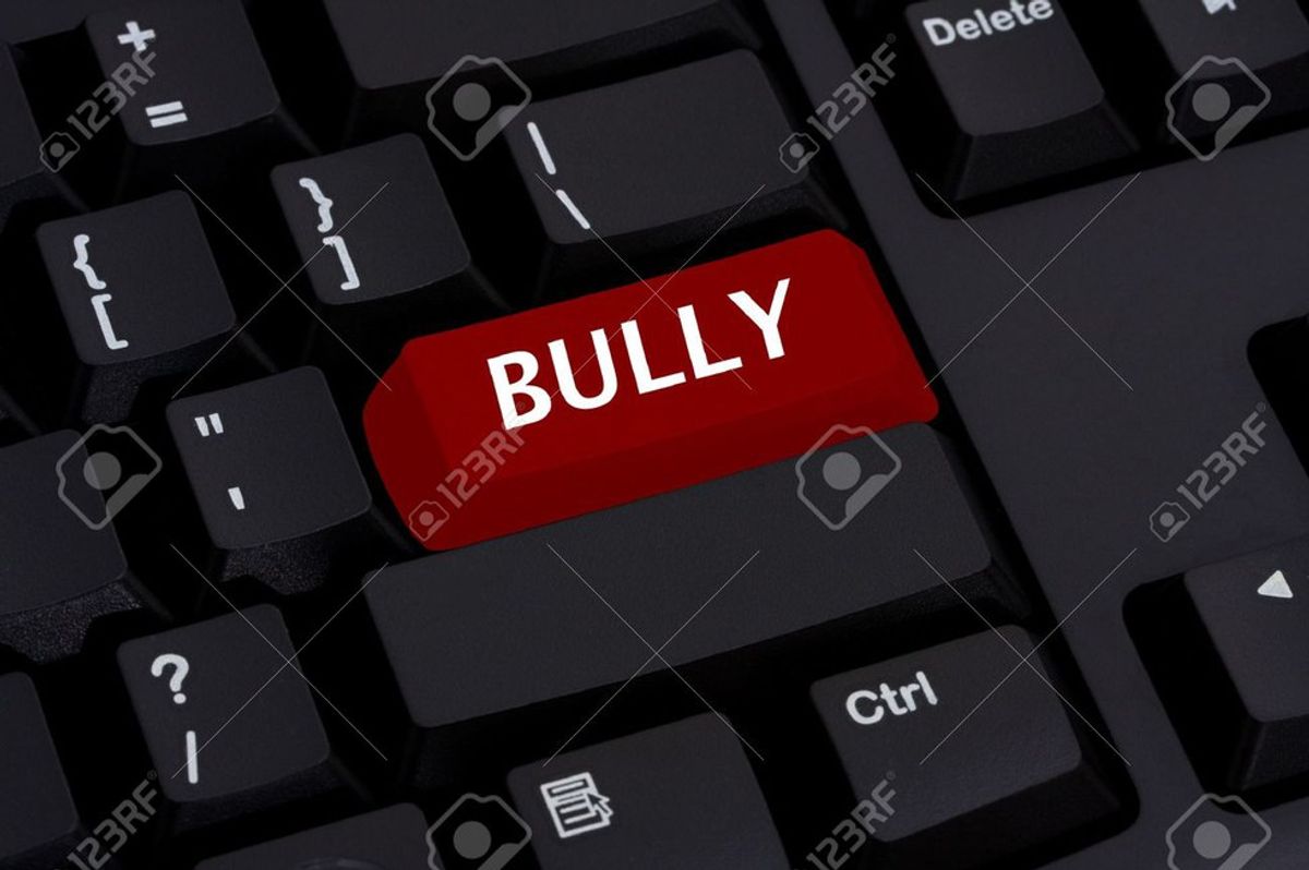 Cyber Bullying: From The Victim's Point Of View