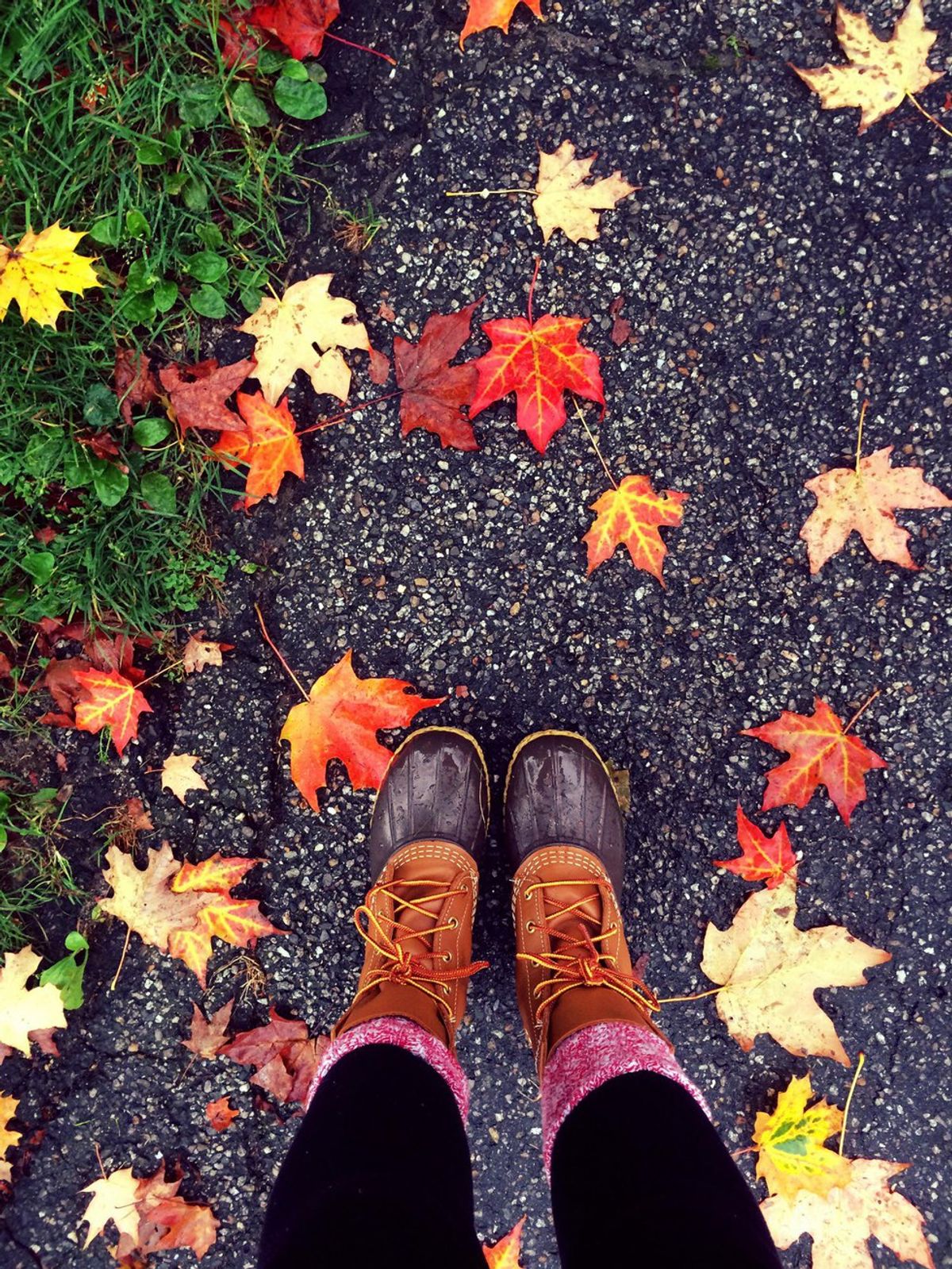 5 Reasons Why Autumn in New England Is the Best