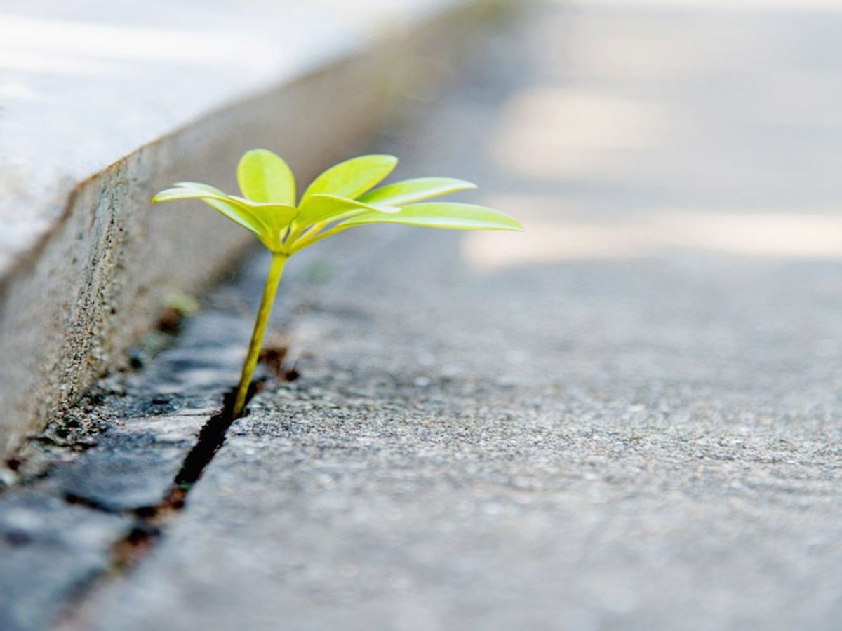Hopeful Persistence Is Even More Powerful Than You Think