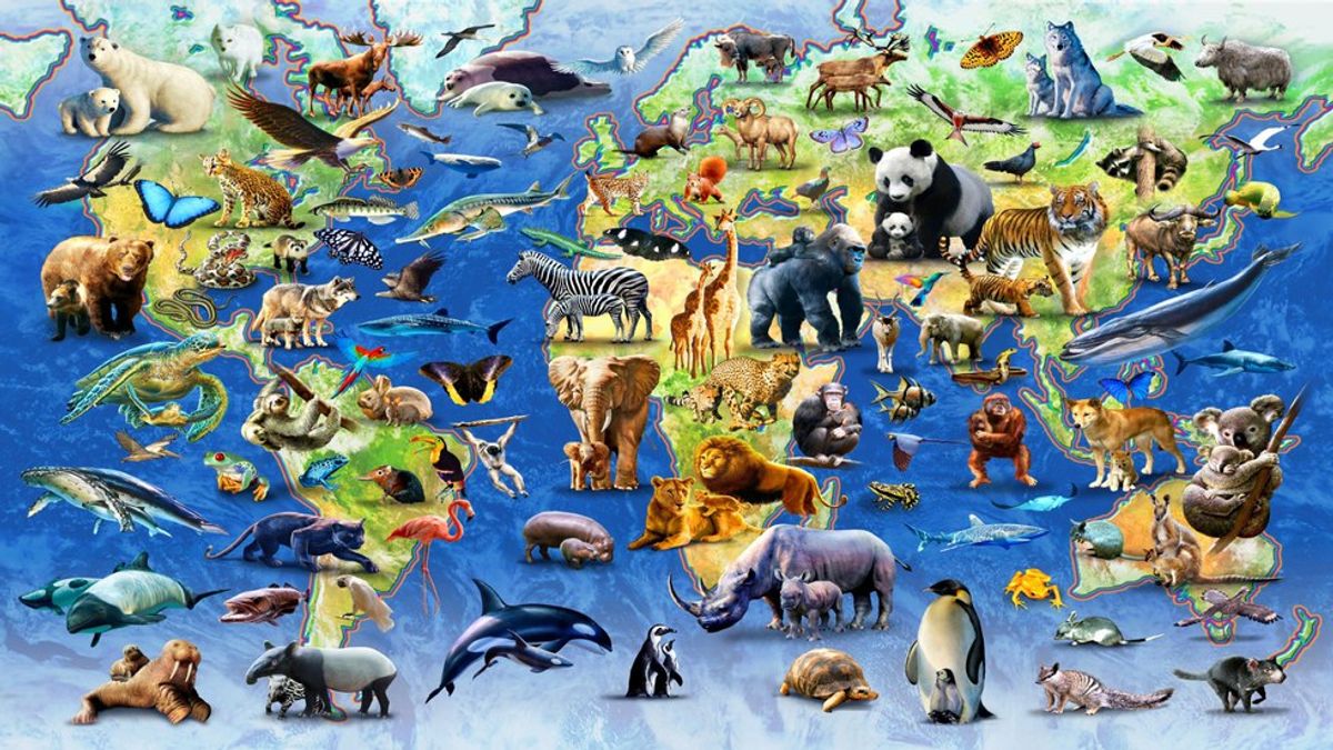 10 Most Endangered Animal Species